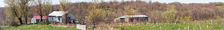 Home of CelticHarps.com, the quite, rolling hills of Van Buren County, Iowa